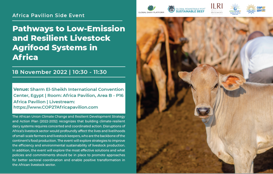 AICCRA @ COP27: Pathways To Low-Emission And Resilient Livestock ...